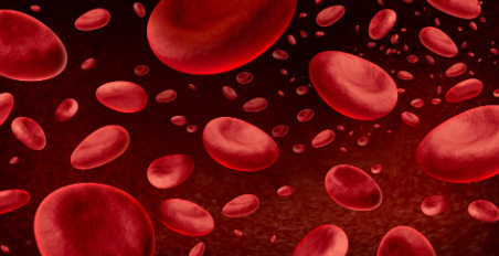 Blood cells Background and Hematology with blood as a concept of the immune system through immunology as microscopic biology hemoglobin symbol inside the human body | Image Credit: © freshidea - stock.adobe.com