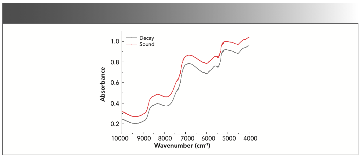 FIGURE 3: Near-infrared mean absorbance spectra of sound (healthy) and decay (diseased) citrus.
