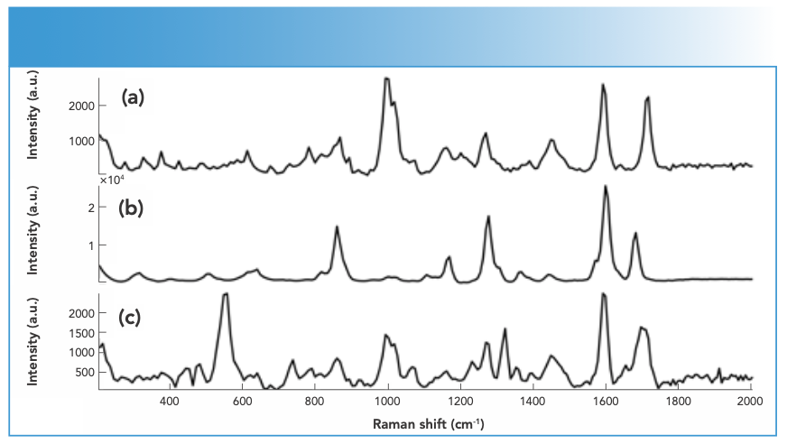 FIGURE 2: Raman spectra of DPs containing (a) cocaine, (b) cocaine and benzocaine, and (c) cocaine and caffeine measured using an FT-Raman spectrometer equipped with 1064-nm laser excitation wavelength.
