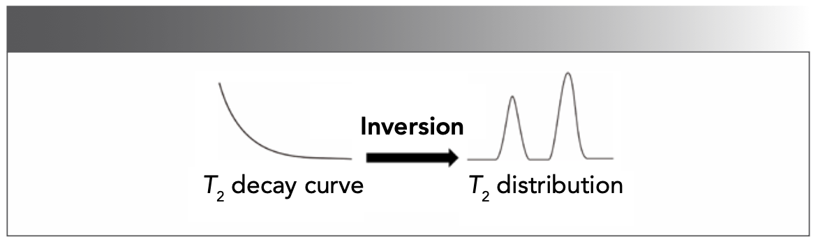 FIGURE 5: The inversion Laplace transform of T2 relaxation signals.