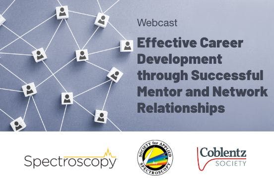 Effective Career Development Through Successful Mentor and Network Relationships