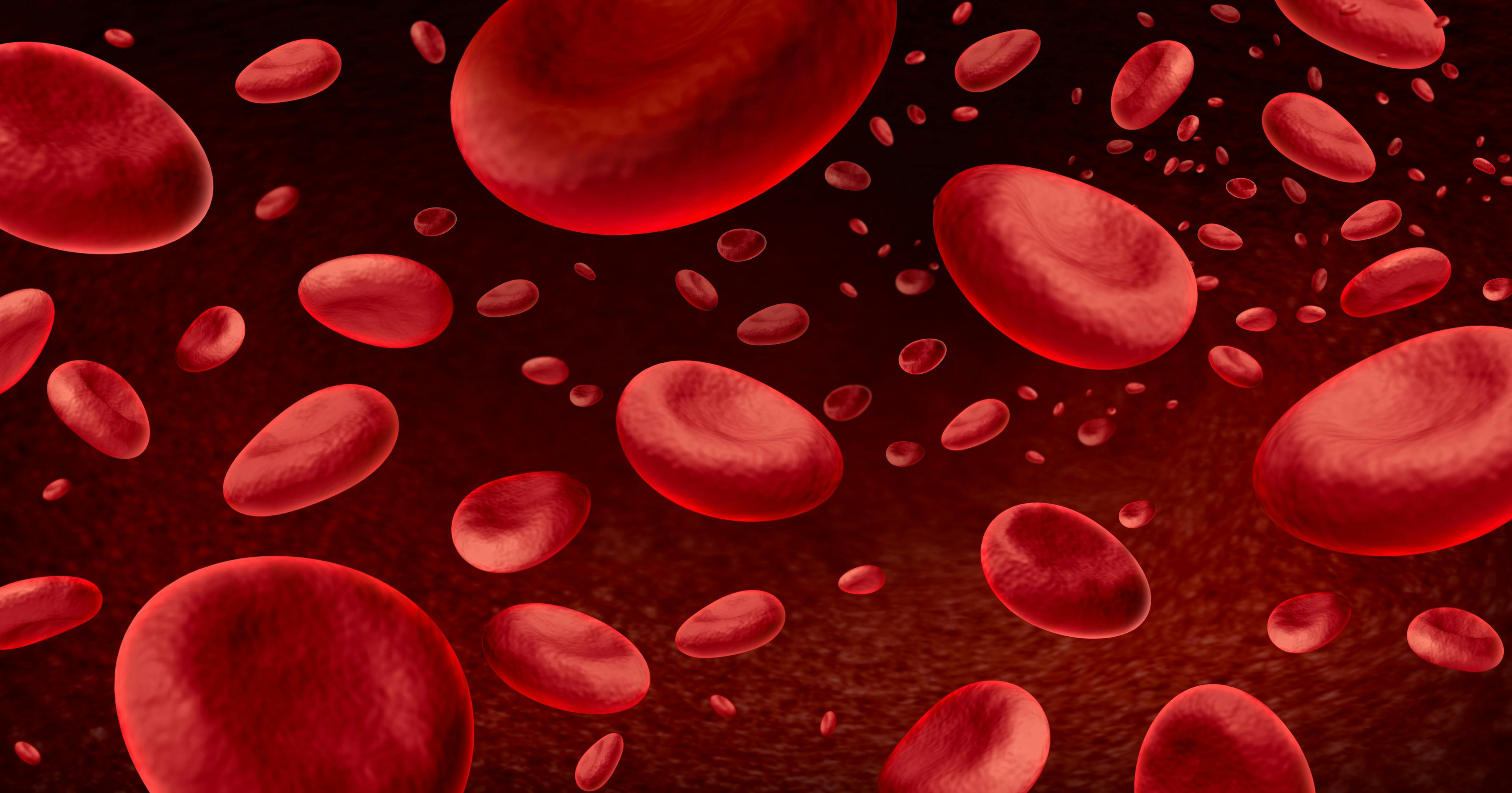 Blood cells Background and Hematology with blood as a concept of the immune system through immunology as microscopic biology hemoglobin symbol inside the human body | Image Credit: © freshidea - stock.adobe.com