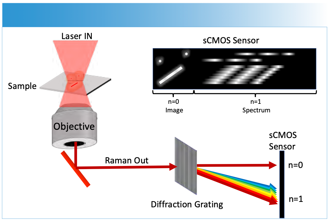 FIGURE 4: Wide-field spectroscopic imaging is obtained by capturing a limited field of view and dispersing the first order diffraction onto a single array sensor. The undiffracted (n = 0) light provides an image where bright features, such as nanoparticles, can be correlated directly to their spectrum (n = 1 diffracted light).