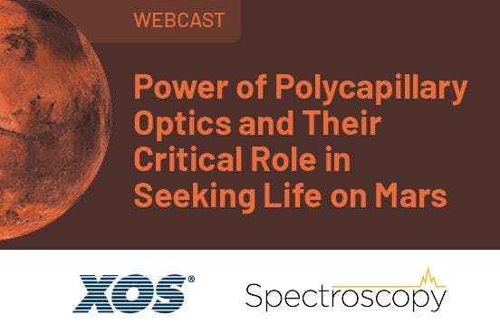 The Power of Polycapillary Optics and Their Critical Role in Seeking Life on Mars