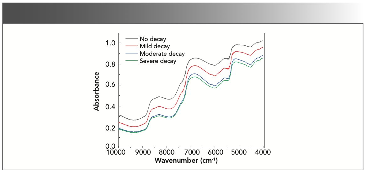 FIGURE 4: Near-infrared mean spectra of citrus samples with different degrees of decay.