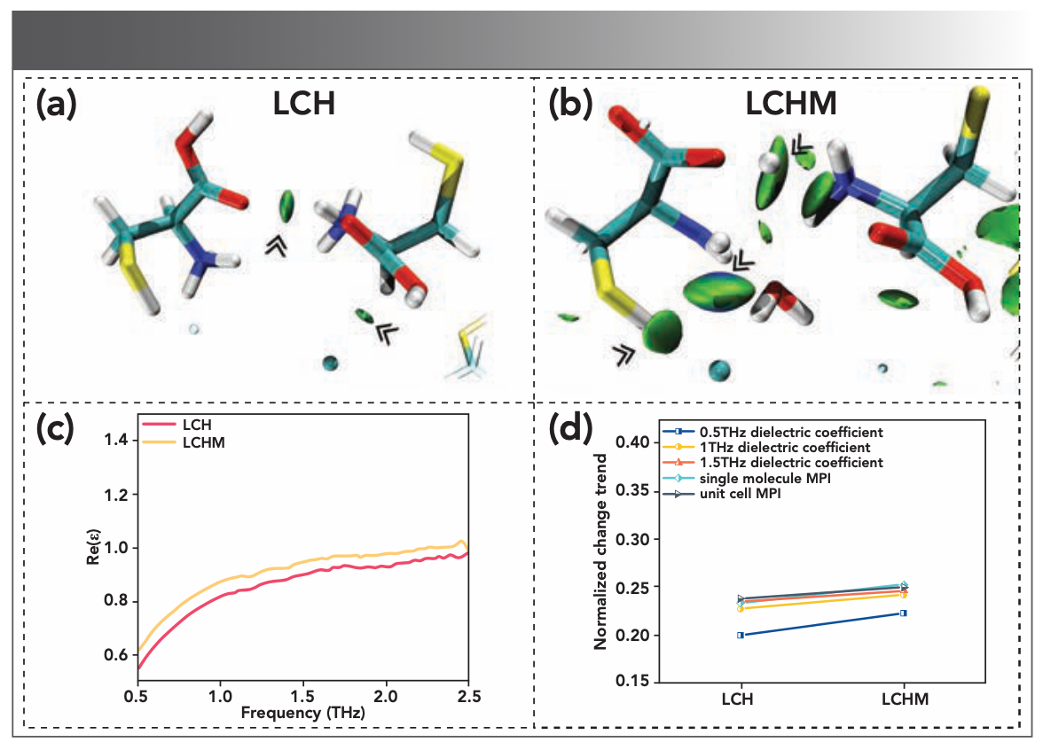 FIGURE 4: IGM isosurface maps for (a) LCH and (b) LCHM models. Intermolecular interaction type derived from the value of sign( 2) (blue: sign(2) < −0.005 au, sign(2) (green: −0.005 au < sign(2) < 0.005 au, red: sign(2) > 0.005 au). where represents the quantitative parameter of the critical point of weak interaction in the IGM theory. (c) Dielectric constant spectra (real part of the dielectric spectra) of LCH and LCHM. (d) The relative permittivity and the normalized MPI results of the LCH and LCHM.