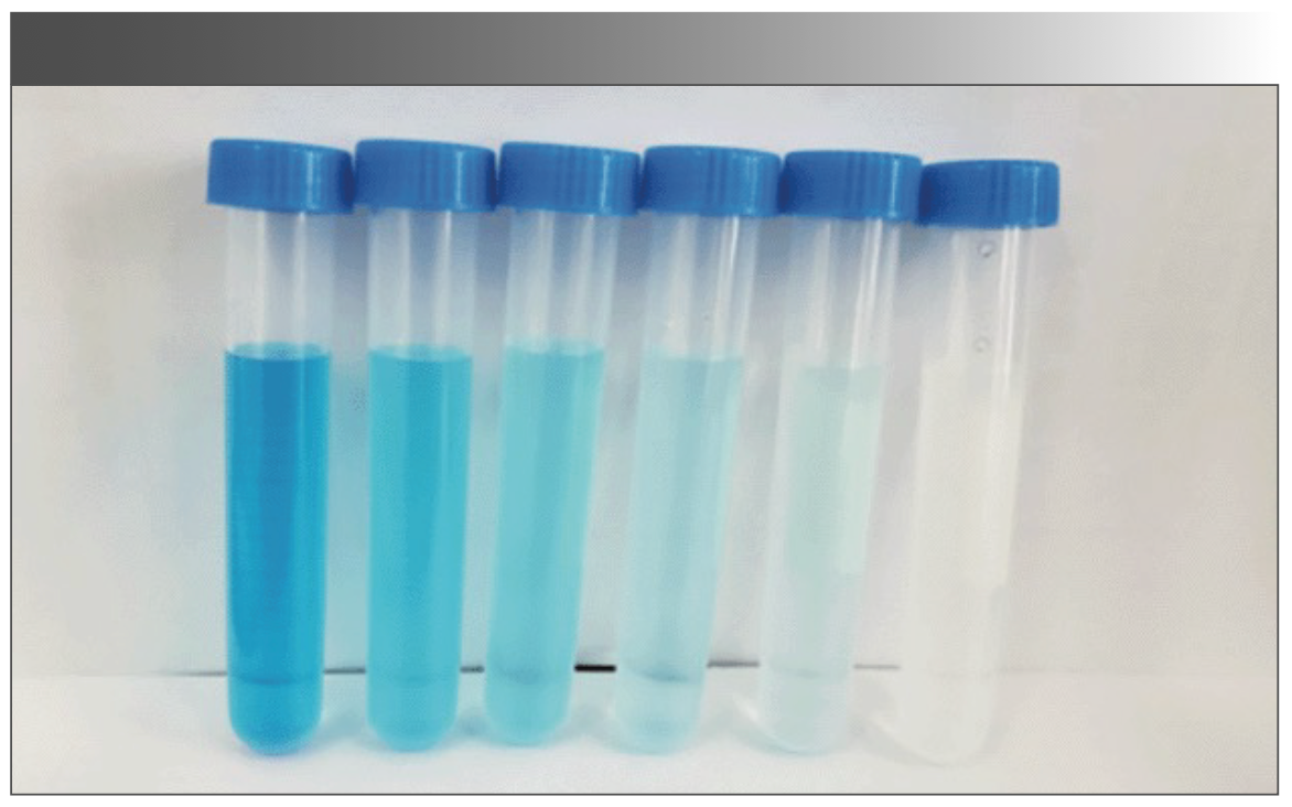 FIGURE 6: Image of decreasing blue color vs. sodium thiosulfate concentration (from left to right) 0.000 mol/L to 0.001 mol/L, respectively.