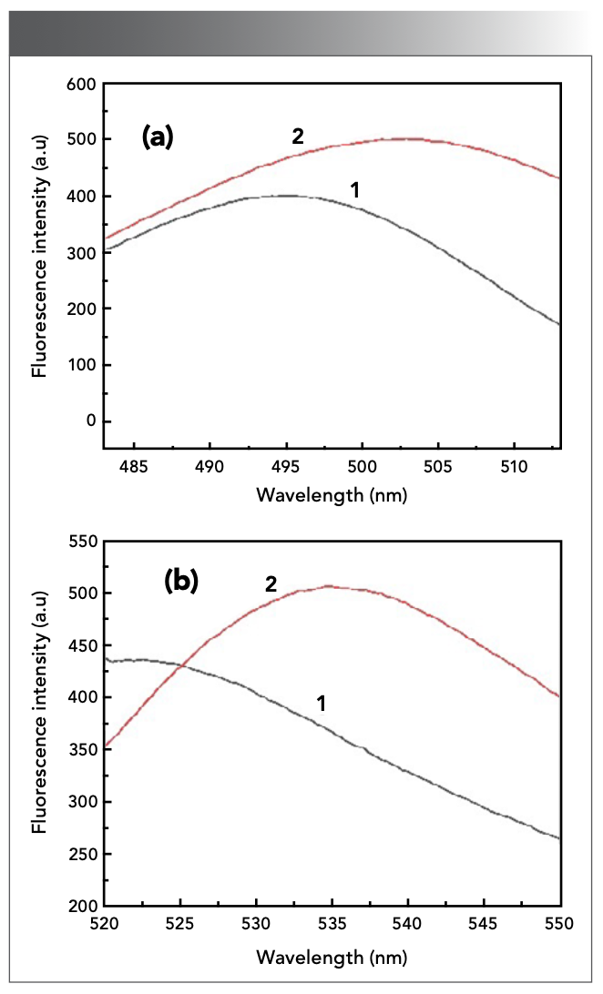 Figure 1: (a) fluorescence excitation and (b) emission spectrum of the reaction system. (1: Blank sample system; 2: The analytical system as previously described).