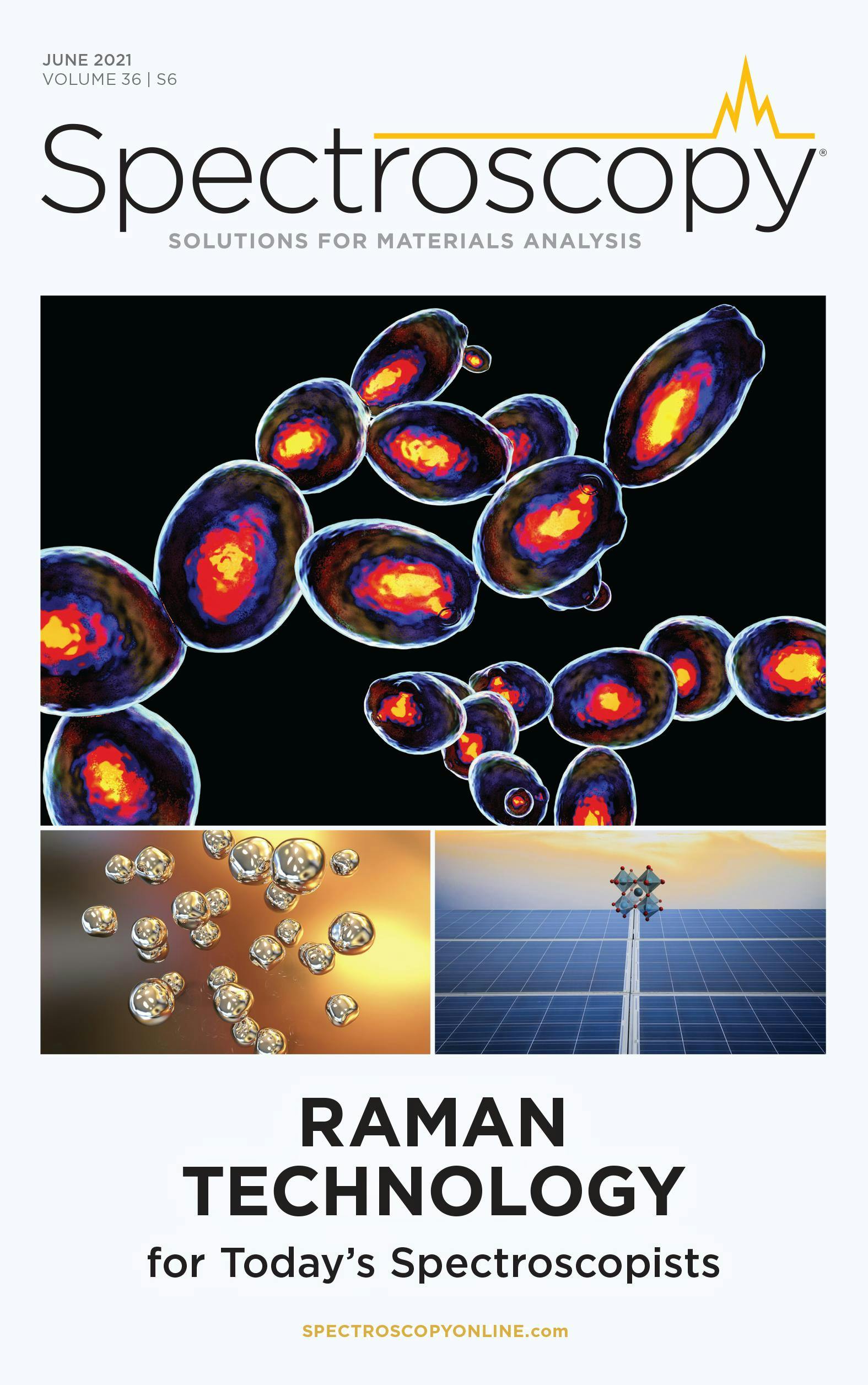 Raman Technology for Today's Spectroscopists
