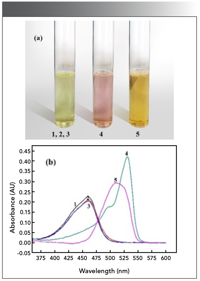 Figure 11: (a) color change of solution and (b) UV positions of complex peaks.

1. c(SAF) = 1.98×10-2 mg/mL (water reference)

2. c(SAF) = 1.67×10-4 mol/L; c(CTMAB) = 2.0×10-3 mol/L (water reference)

3. c(SAF) = 1.67×10-4 mol/L; c(Sn) = 3.96×10-2 mg/mL (water reference)

4. c(SAF) = 1.67×10-4 mol/L; c(Sn) = 7.93×10-2 mg/mL

c(CTMAB) = 2.0×10-3 mol/L (water reference)

5. c(SAF) = 5.0×10-4 mol/L; c(Sn) = 2.97×10-3 mg/mL

c(CTMAB) = 2.0×10-3 mol/L (Use 4.0×10-4 mol/L reagent solution as a reference).
