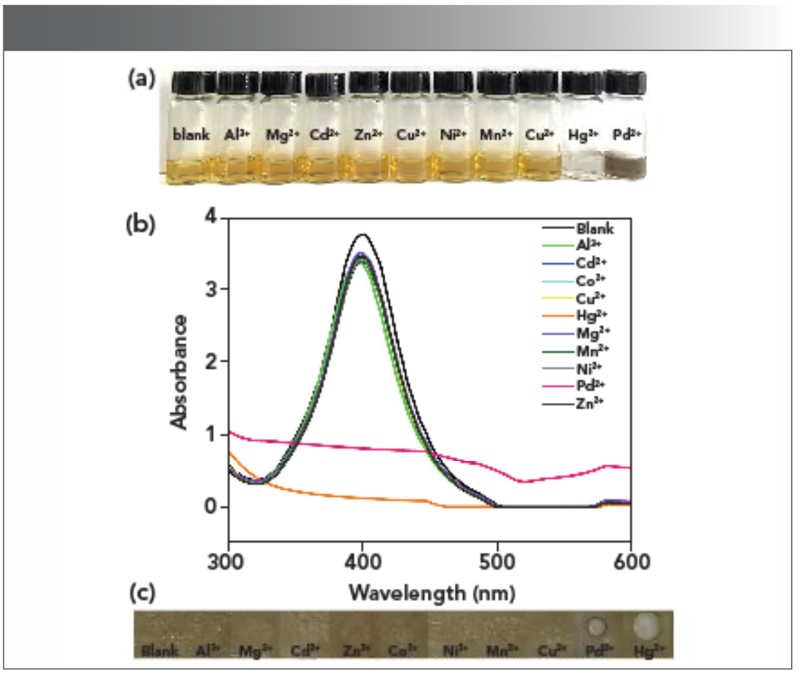 FIGURE 3: (a) Photographs and (b) UV-vis spectra of AgPA-CHIT with the addition of different metal ions. (c) Photographs of different metal ions dripping onto the AgPA-CHIT solid film.