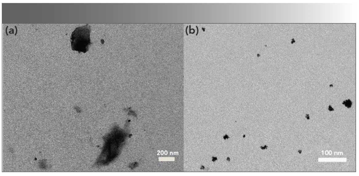 FIGURE 6: TEM images of AgPA-CHIT after recognition of (a) Hg2+ and (b) Pd2+ ions.