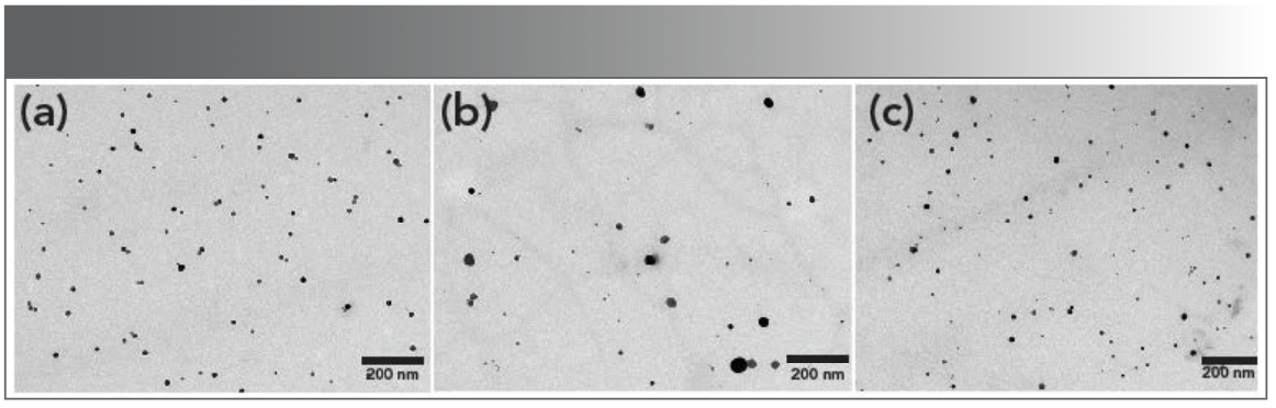FIGURE 2: TEM images of (a) AgPA-CHIT, (b) AgCA-CHIT, and (c) AgAA-CHIT.