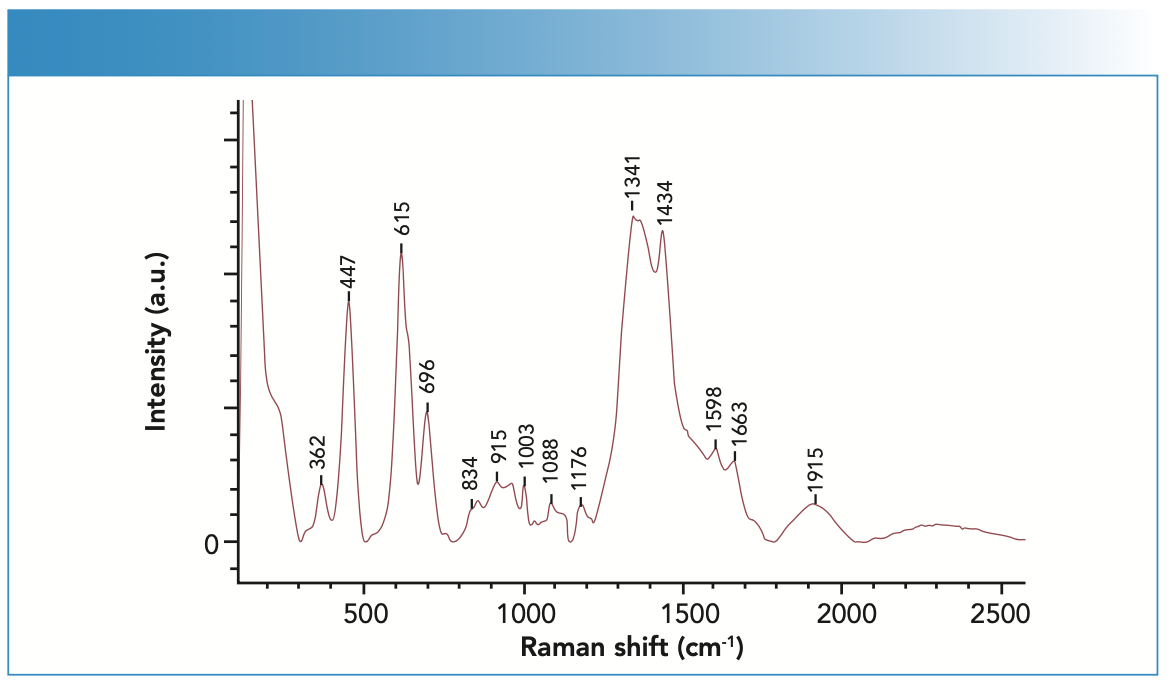 FIGURE 1: SERS spectrum of the blood sample.