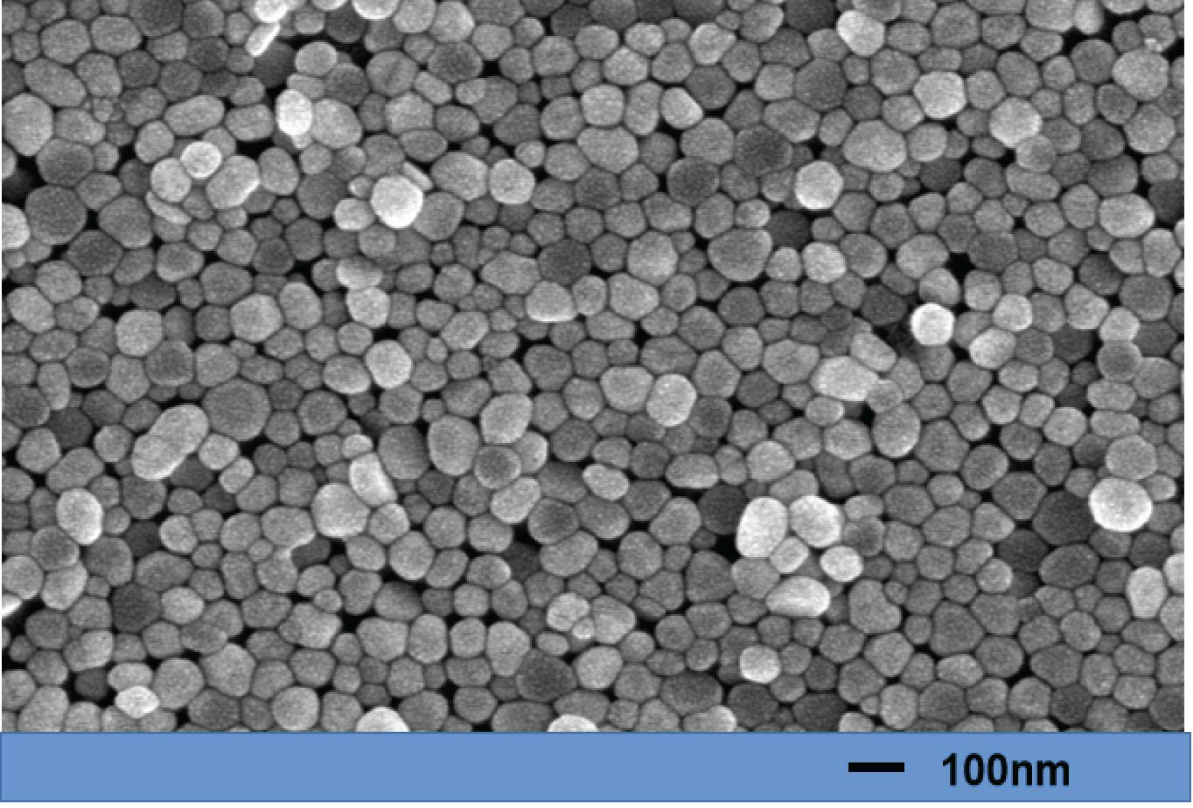 FIGURE 1: SEM image of silver sol substrate.