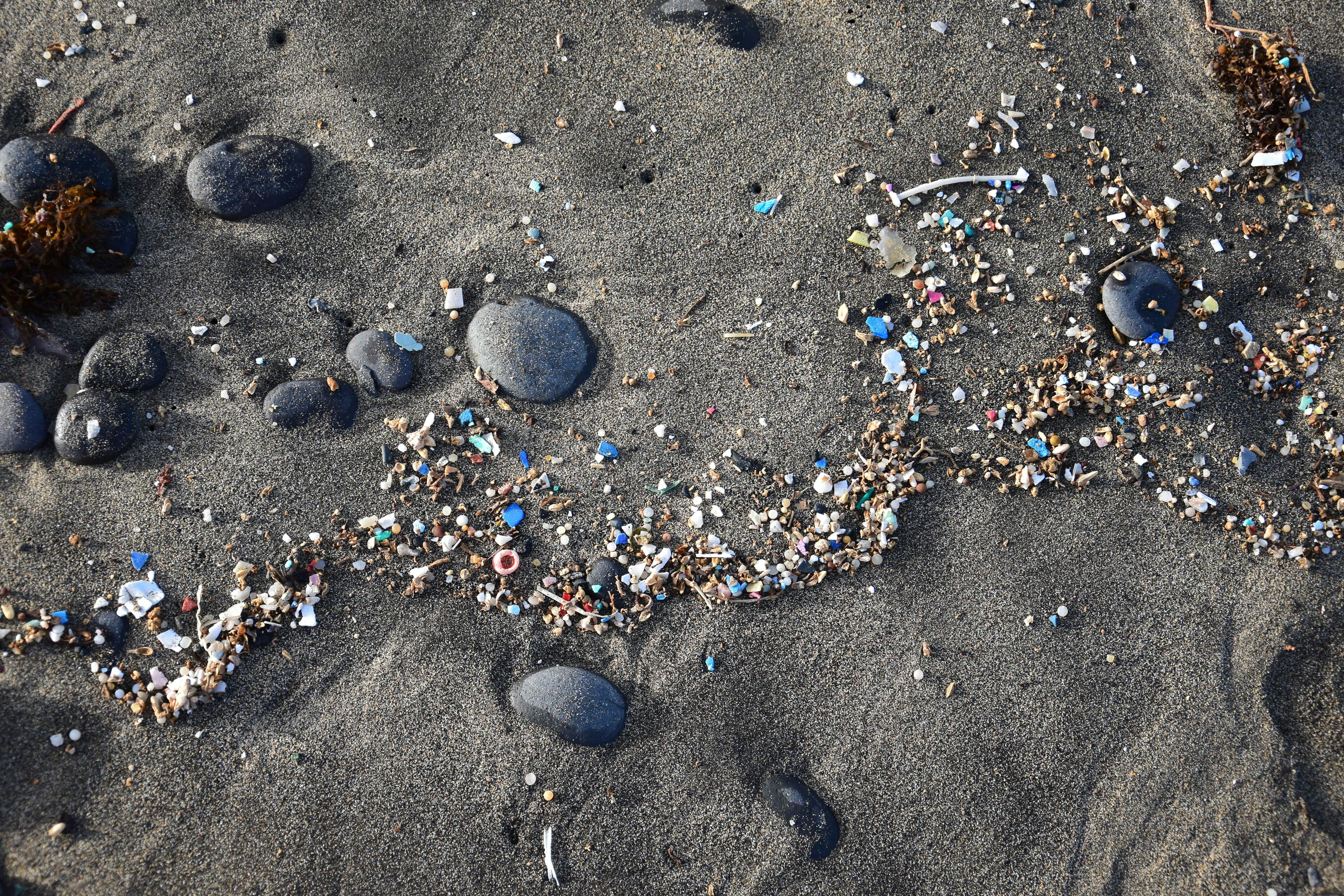 Microplastics on a beach. Famara Beach, Lanzarote. | Image Credit: © Susanne Fritzsche - stock.adobe.com.