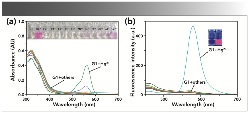 FIGURE 1: (a) UV-vis spectra of G1 (2.0 × 10-5 M) in the presence of 50 equivalent various anions in a DMSO:H2O (2:8, v/v) solution. Inset: Color changes of G1 (2.0 × 10-5 M) with various anions (50 equivalent) in the DMSO:H2O (2:8, v/v) solution. (b) Fluorescence spectrum of G1 (2.0 × 10-5 M) in the presence of 50 equivalent various anions in a DMSO:H2O (2:8, v/v) solution. Inset: Color changes of G1 (2.0 × 10-5 M) after adding Hg2+ at room temperature under UV light.