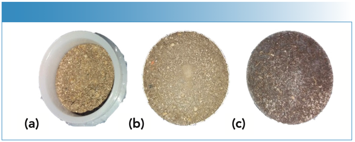 FIGURE 1: Common methods for soil sample preparation using low and high pressure for analysis on X-ray fluorescence (XRF) spectroscopy (a) loose powder (LP), 200 inch-pounds (in-lb) pressure added for 30 s; (b) pressed powder pellet (PP), 15 tons pressure added for 30 s; (c) pressed powder pellet with wax binder (PPB), 20 tons pressure added for 30 s.