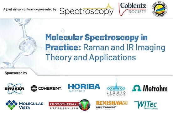 Virtual Conference: Molecular Spectroscopy in Practice: Raman and IR Imaging Theory and Applications