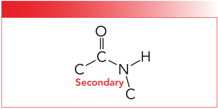 Figure 1: The molecular structure of a secondary amide.