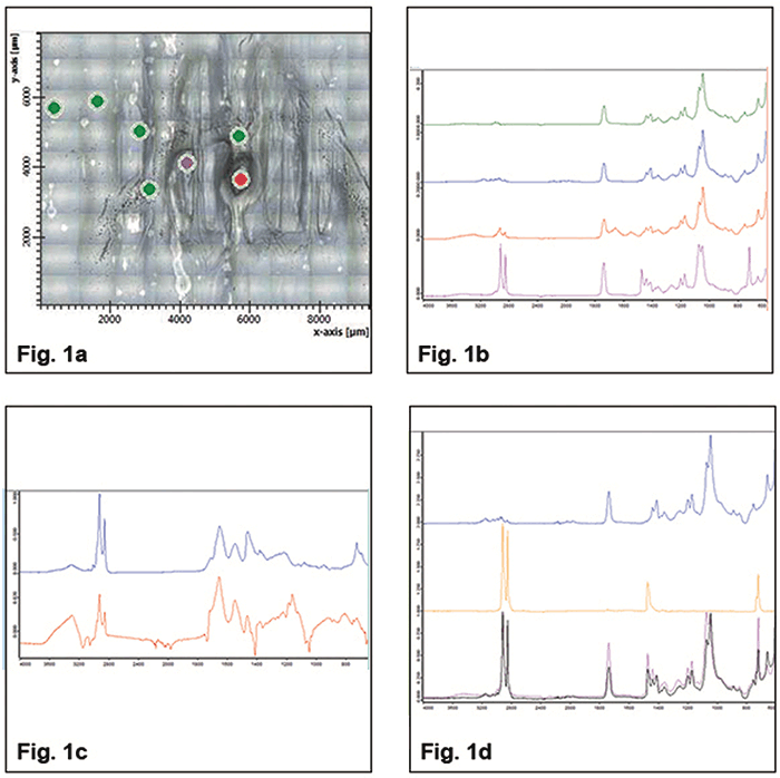 Spectroscopy2_i1.gif