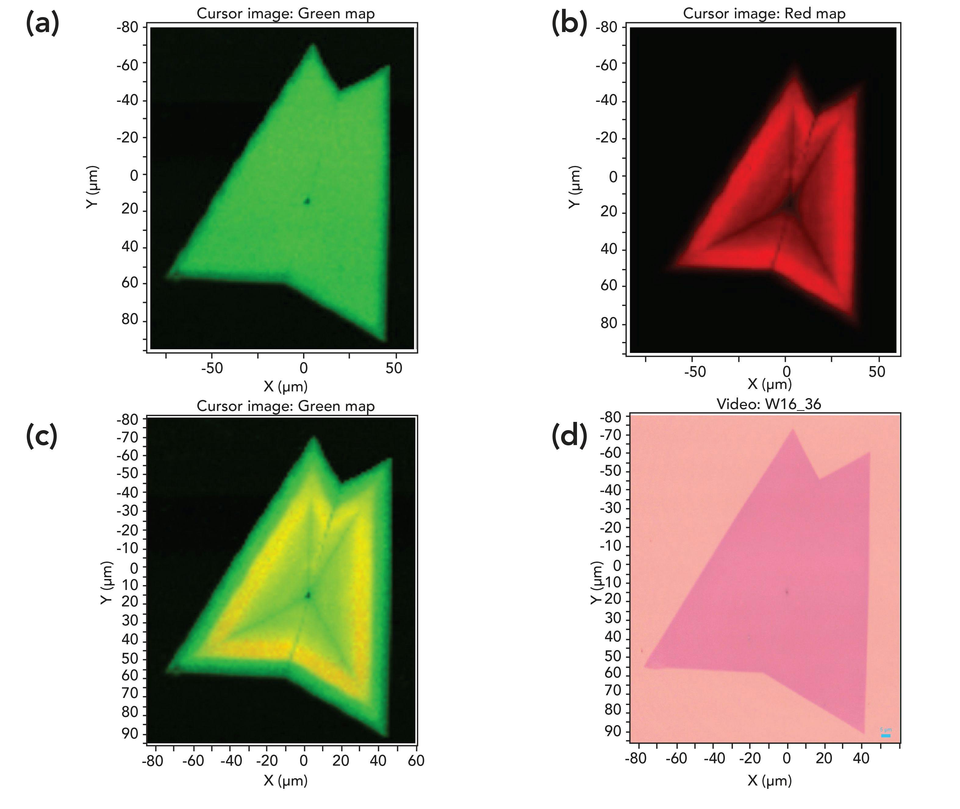 FIGURE 3: Spectral and reflected white light imaging of WS2: (a) Raman, (b) photoluminescence, (c) combinative Raman and photoluminescence, and (d) reflected white light image.