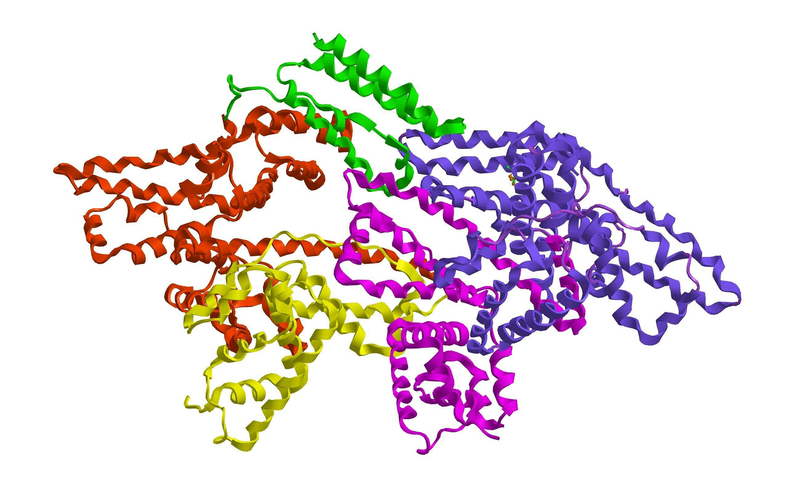 Molecular structure of Bovine serum albumin (BSA) | Image Credit: © raimund14 - stock.adobe.com