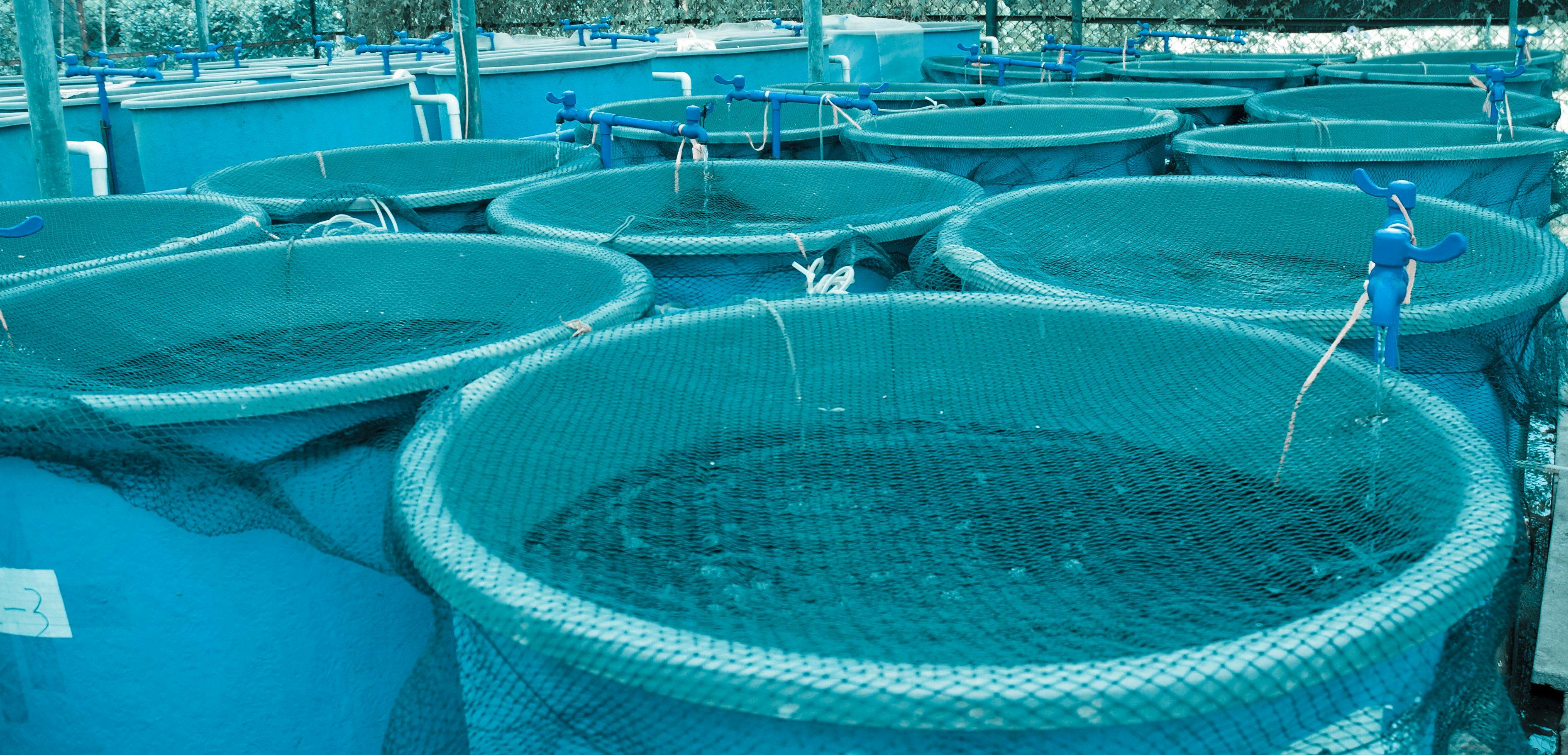 Agriculture aquaculture farm | Image Credit: © defun - stock.adobe.com