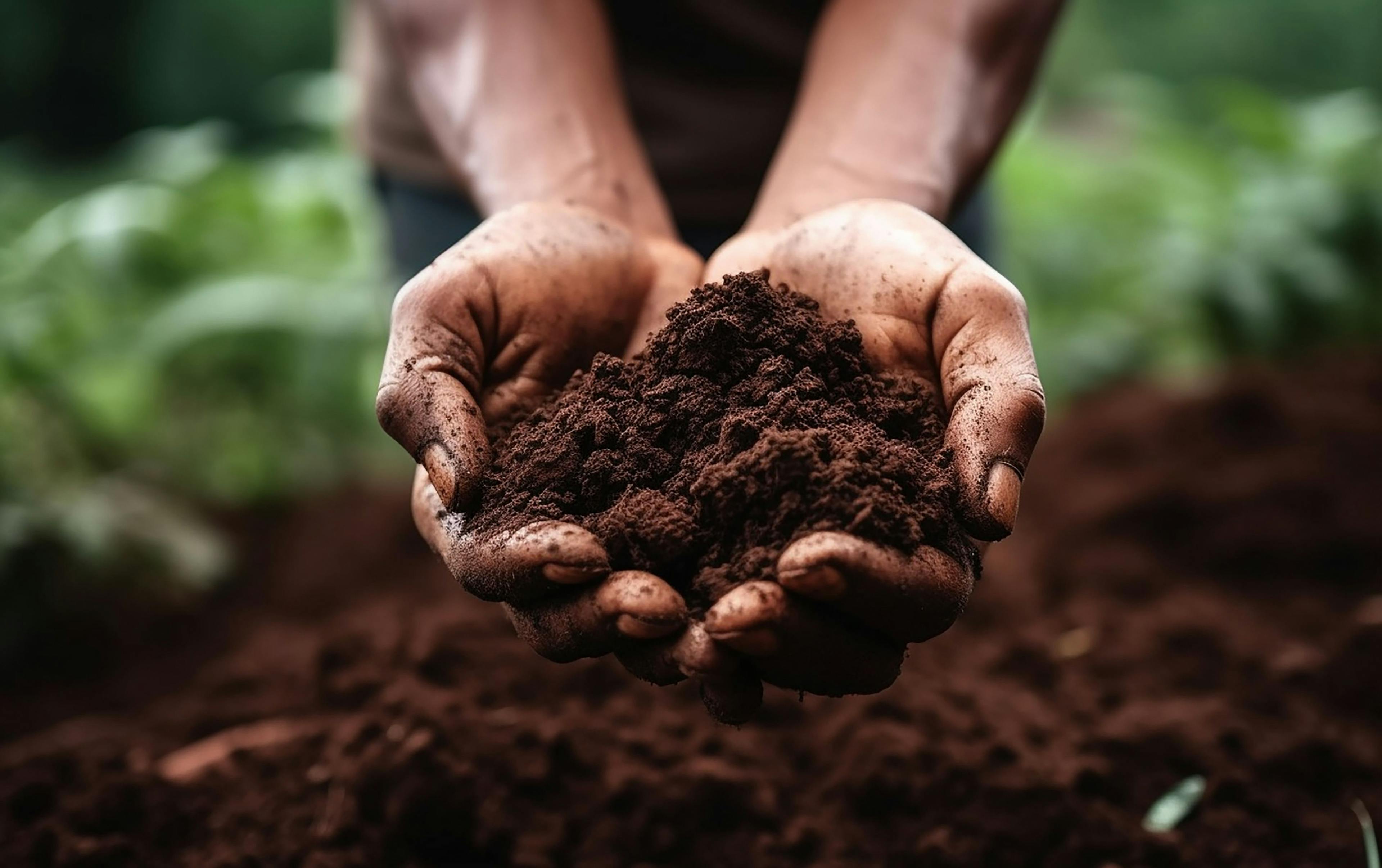 Farmer holding soil in hands close-up. Male hands touching soil on the field. Agriculture, gardening or ecology concept. Generative AI | Image Credit: © Malchevska - stock.adobe.com