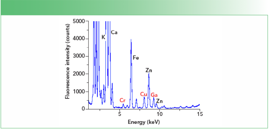 FIGURE 1: TXRF spectrum of E. coli sample containing 100 ng/mL of chromium, copper, and gallium. The three elements are shown in red text.