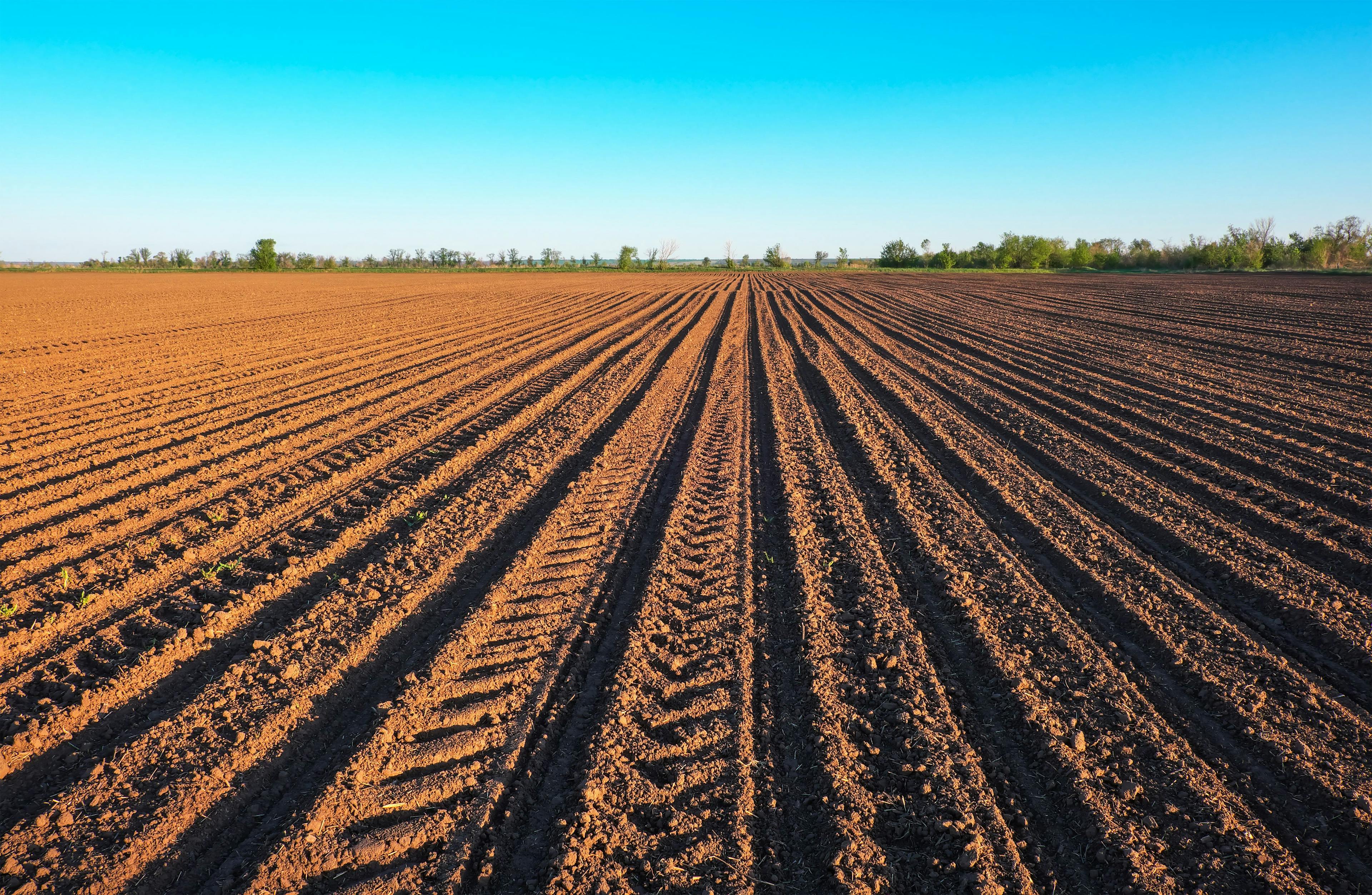 Preparing field for planting. Plowed soil in spring time with blue sky. | Image Credit: © es0lex