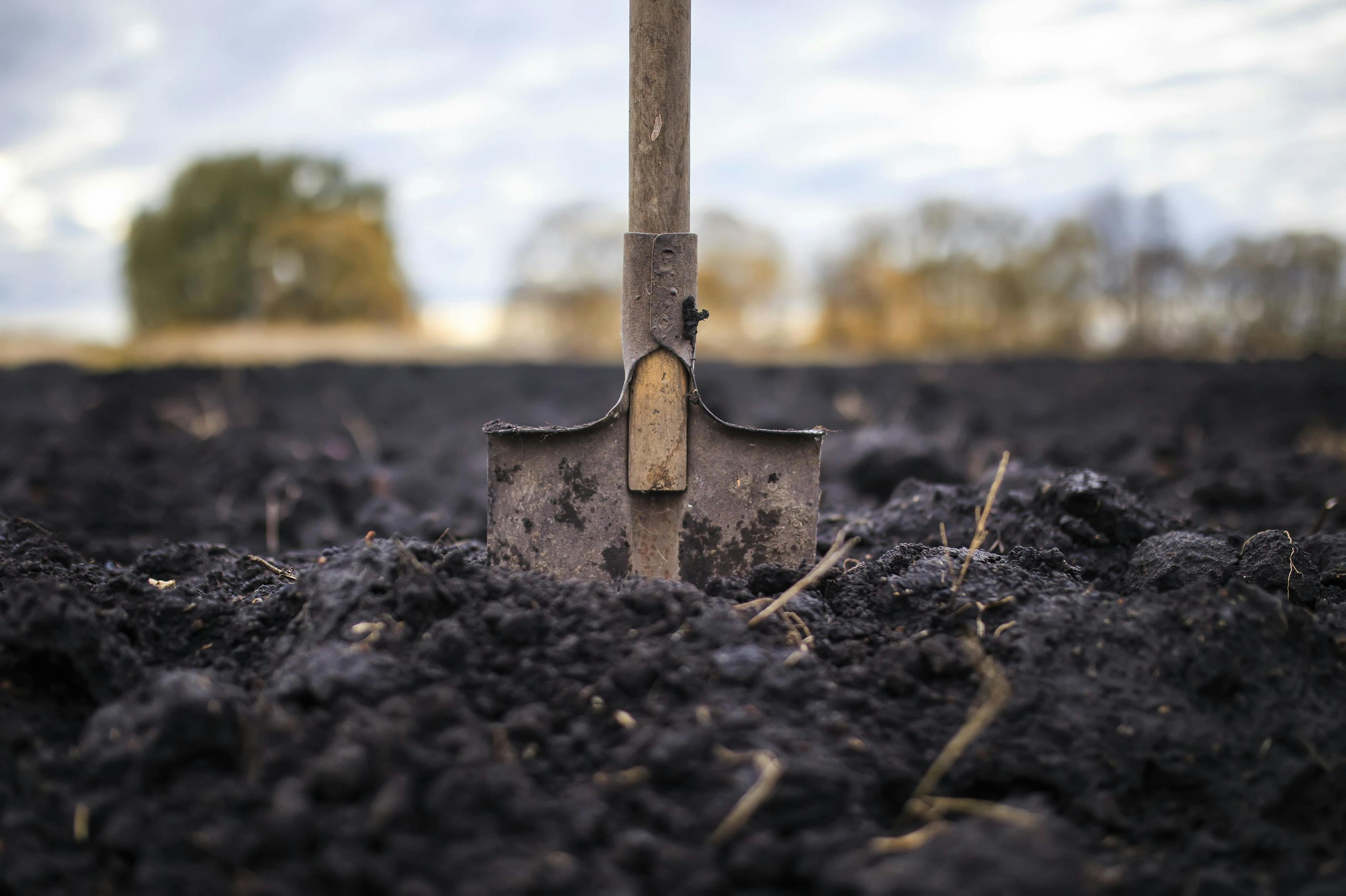 Energy Dispersive XRF in Soil Analysis for the Agrifood Sector