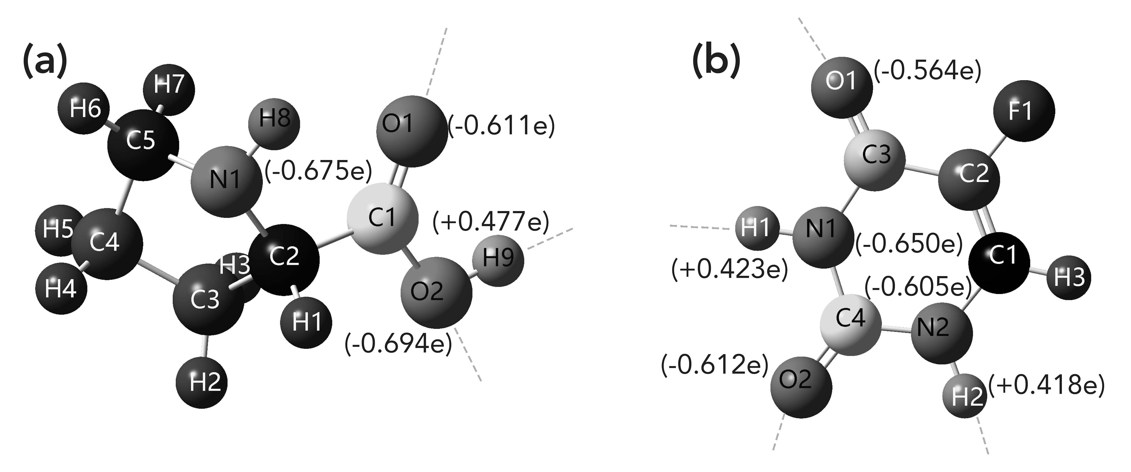 FIGURE 4: The atomic charge distribution of (a) Pro and (b) 5-FU. (The blue dashed line is hydrogen bonding). The various atoms are identified in the figure.
