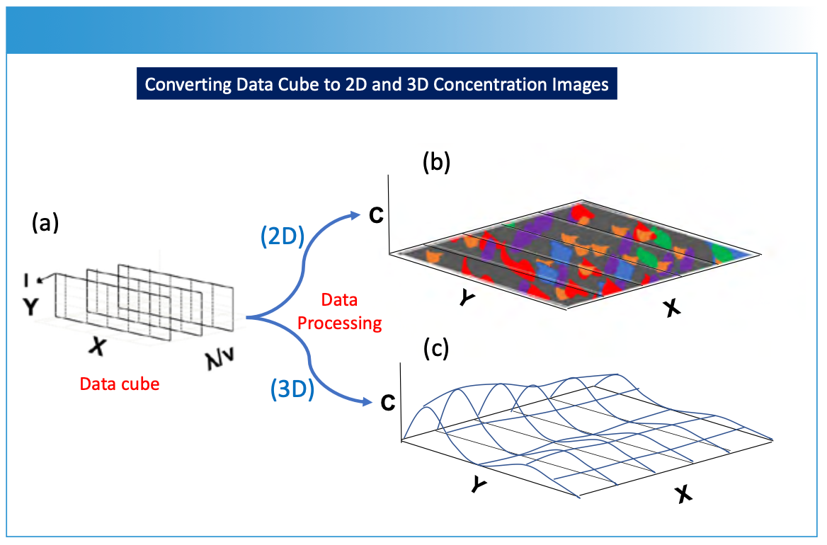FIGURE 4: Illustration of data processing for (a) the hyperspectral data cube to predict chemical composition or concentration (C) and reproject the data onto (b) a 2D spatial image X and Y sample plane, or (c) a 3D spatial image X and Y sample plane. The concentration (or another parameter of interest) is predicted using chemometric modeling as illustrated in Figure 1.