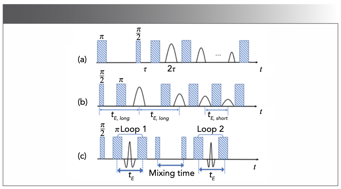 FIGURE 4: Pulse sequences for 2D relaxation measurements (27,28,31–33). (a) T1-T2, (b) D-T2, (c) T2-T2. tE,long is the diffusion evolution period, tE,short is the echo spacing.