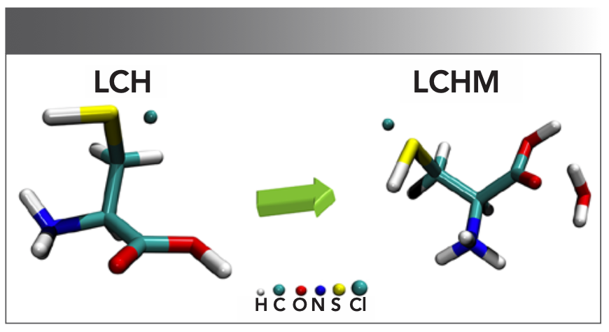 FIGURE 1: Molecular straw structures of LCH and LCHM. The atoms are designated as H (white), C (cyan cylinders), O (red), N (blue), S (yellow), and Cl (cyan spheres). Note the independent cyan spheres illustrated in LCH and LCHM are chlorine atoms.