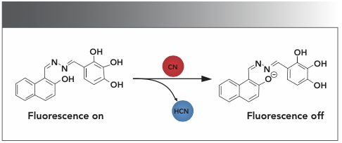 Scheme 2: Proposed binding mode of chemosensor HNT with anions in the solution.