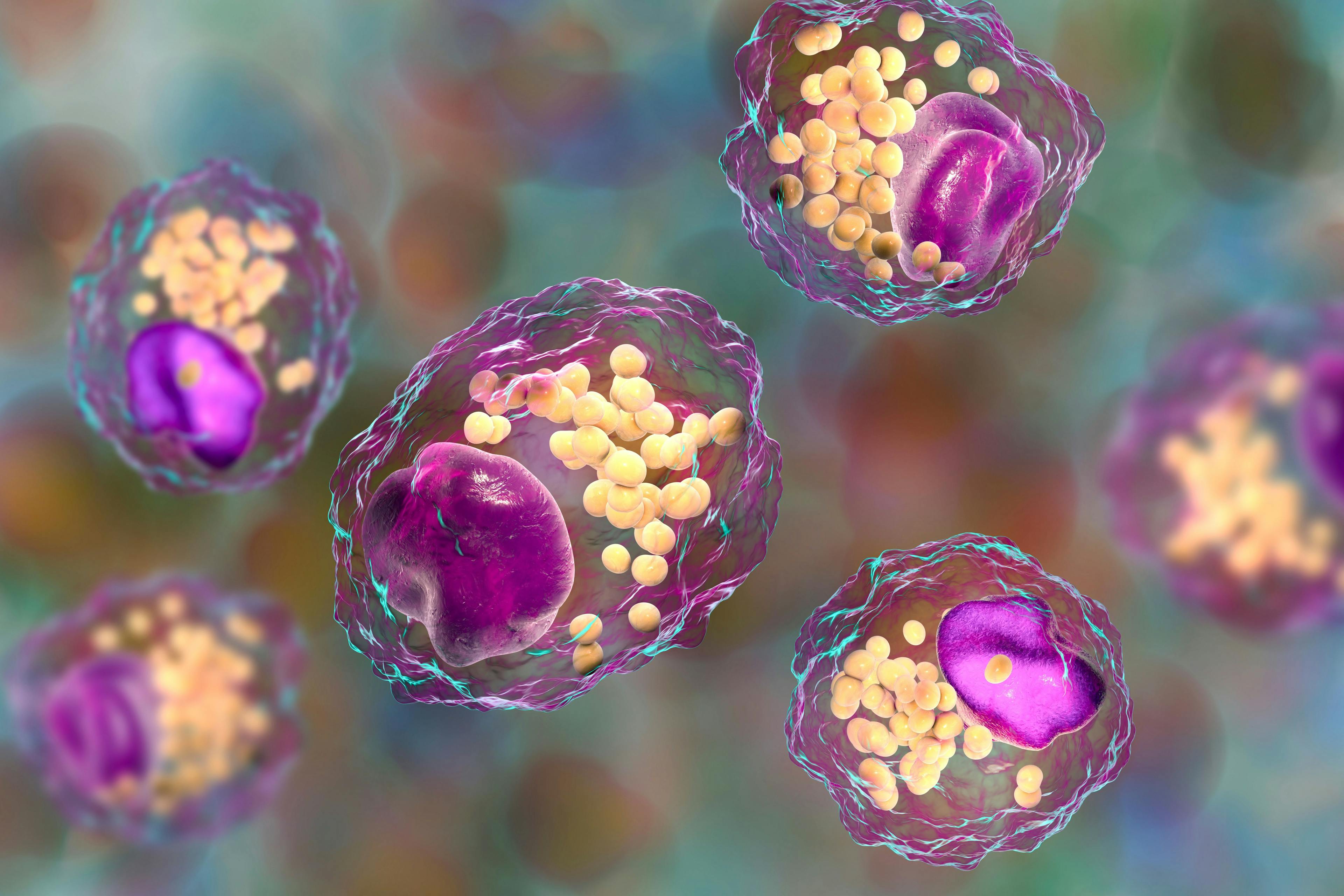 Foam cell, a macrophage cell with lipid droplets | Image Credit: © Dr_Microbe - stock.adobe.com