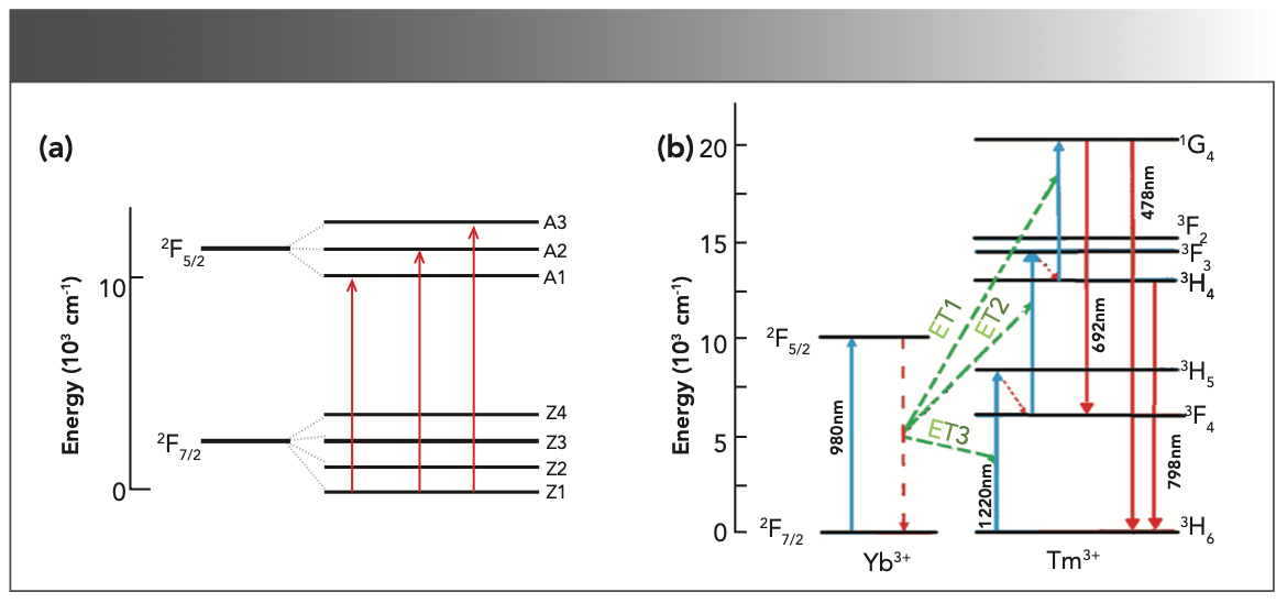 FIGURE 9: (a) Stark level splitting of Yb3+ energy level diagram, and (b) possible up-conversion luminescence mechanism of Yb3+ and Tm3+ co-doped NaY(MoO4)2 crystal.