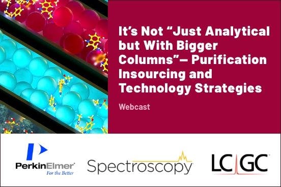 It's Not “Just Analytical but With Bigger Columns”— Purification Insourcing and Technology Strategies