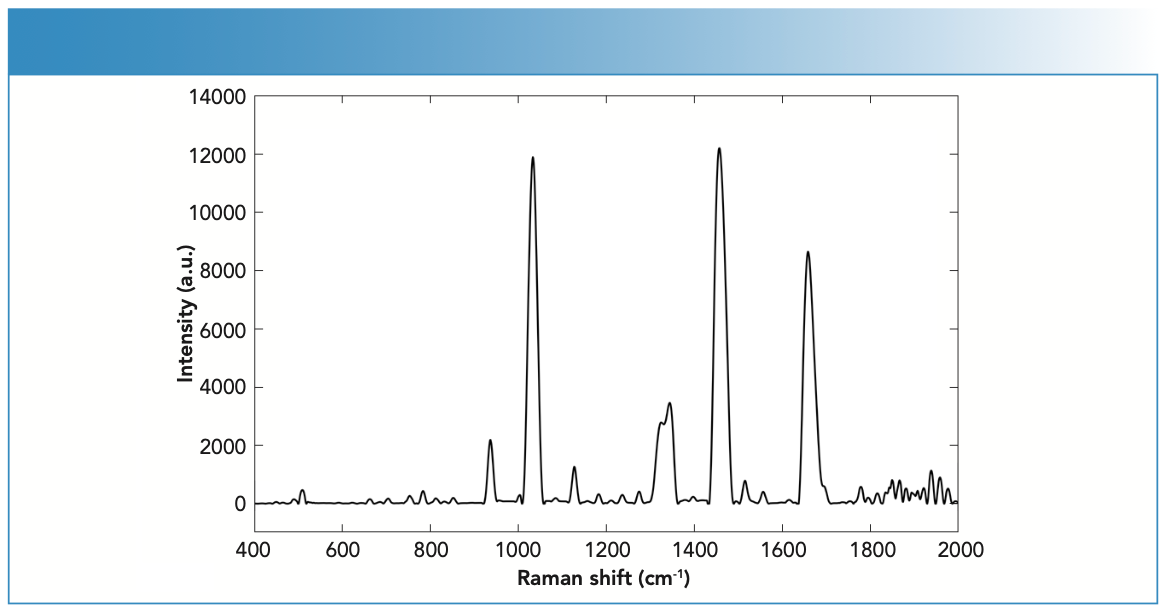 FIGURE 3: Raman spectra of a fingernail clipping using the handheld Raman spectrometer equipped with 785-nm laser wavelength.