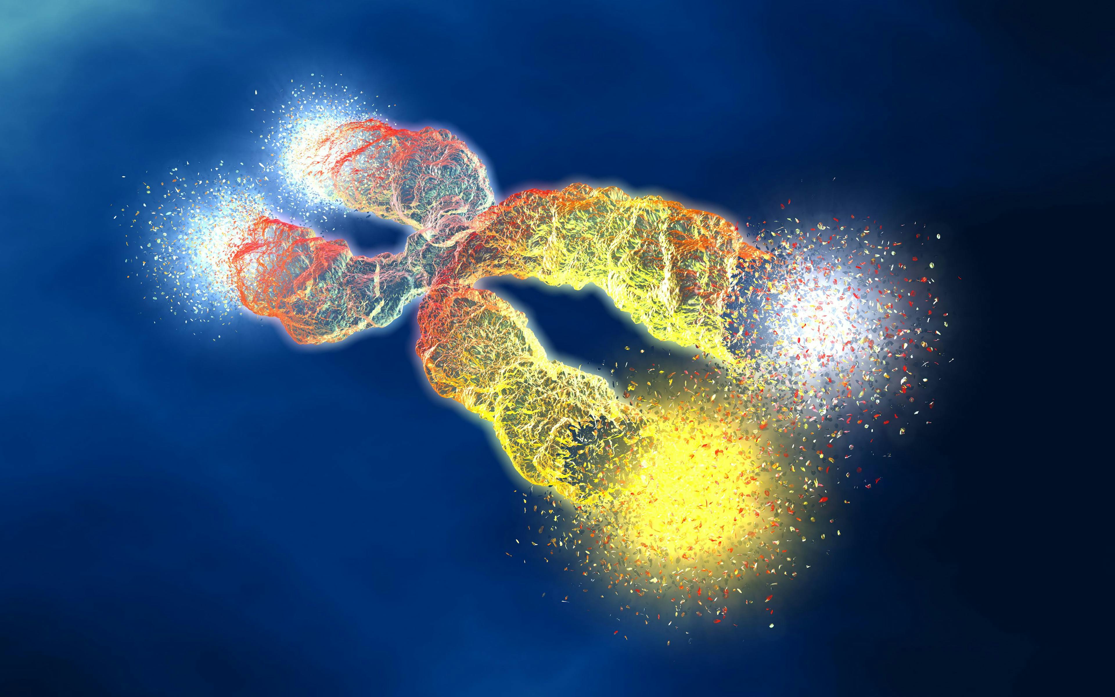 Chromosome with shortened telomeres | Image Credit: © Axel Kock - stock.adobe.com