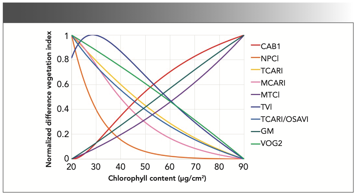FIGURE 3: Sensitivity analysis of hyperspectral vegetation indices on chlorophyll content.