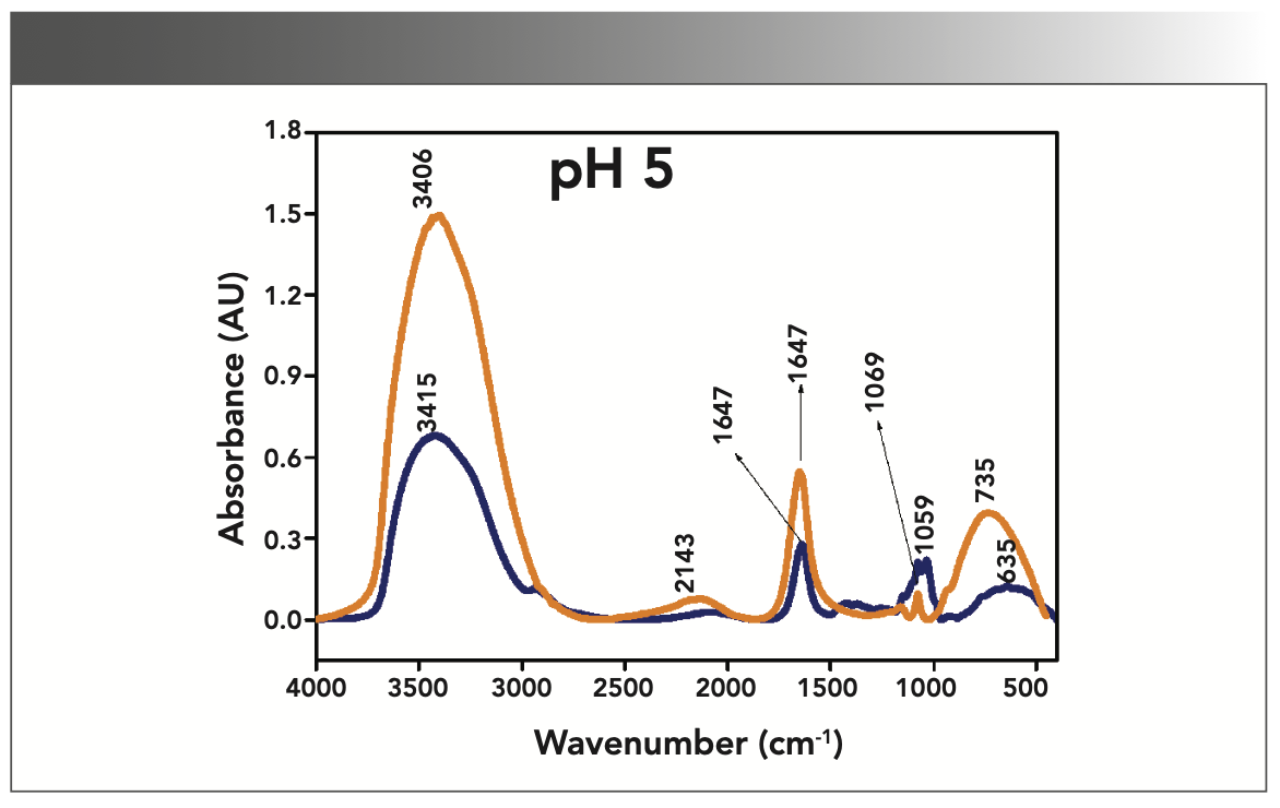 FIGURE 2: Primary spectra for pH 5: Buffer+SUC+OVA (blue), Buffer+OVA (orange).