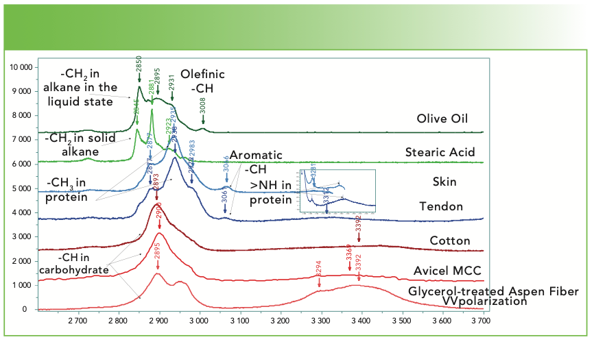 FIGURE 5a: Raman spectra (from top to bottom) of olive oil, stearic acid, skin, tendon, cotton, avicel microcrystalline cellulose, and a glycerol treated aspen wood fiber in the CH, NH, and OH region. Abscissa is Raman shift (cm-1), and ordinate is intensity.