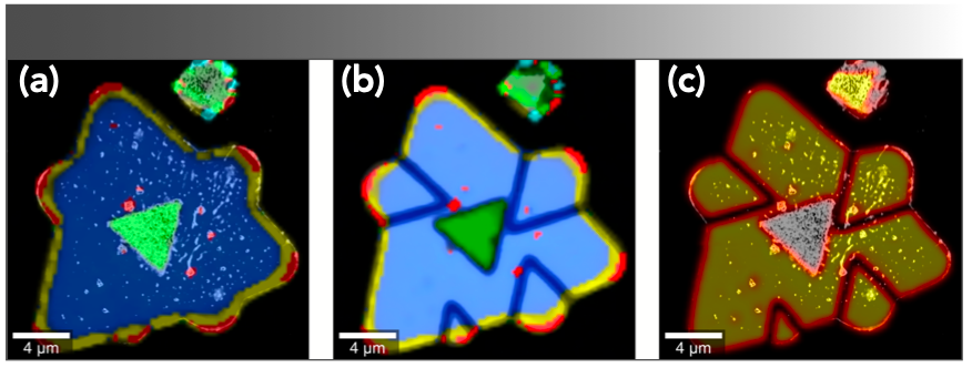 FIGURE 8: Overlay of images obtained with various techniques: (a) AFM and PL, (b) SHG and PL and (c) AFM and SHG.