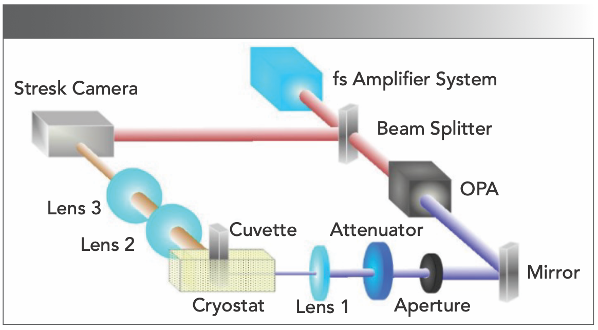 FIGURE 1: Experimental setup for time-resolved spectroscopy measurements.