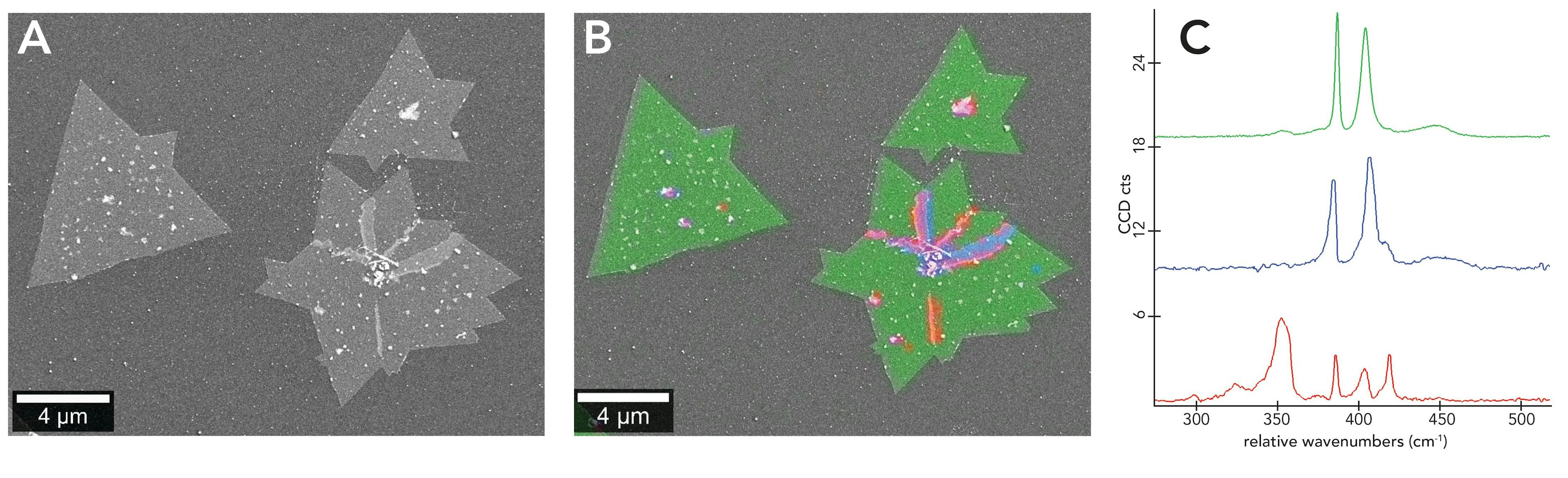 Figure 2: MoS2 crystals A: SEM image of MoS2 crystals. B: Color-coded Raman image derived from the spectral information overlaid on the SEM image to produce the RISE image. C: Raman spectra of MoS2: green = 1L MoS2, blue and red = edges and defects.

(Sample courtesy of Ting Yu, Nanyang Technological University, Singapore.)