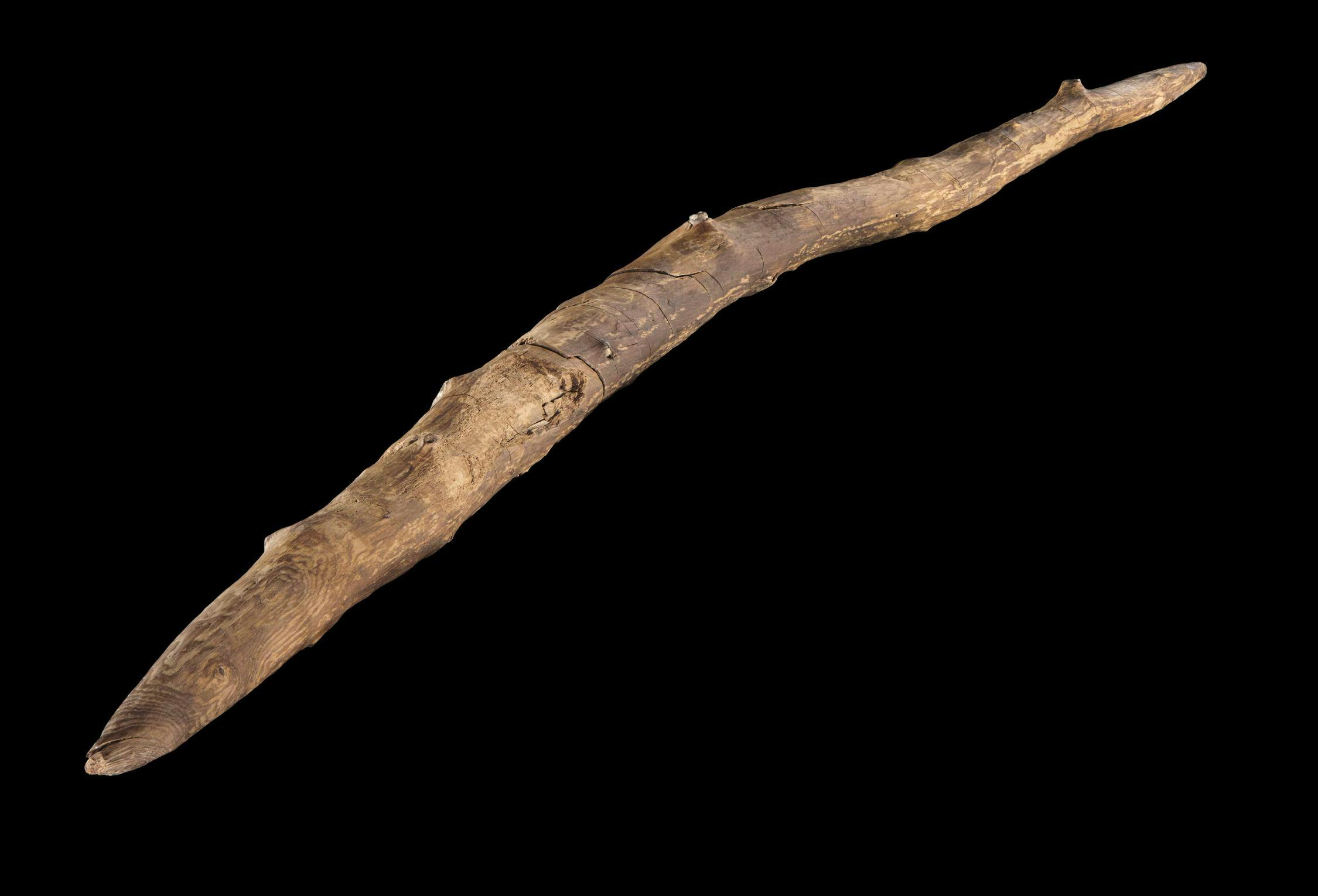 Double-pointed wooden throwing stick: perspective image | Image Credit: © Volker Minkus - CC BY 4.0