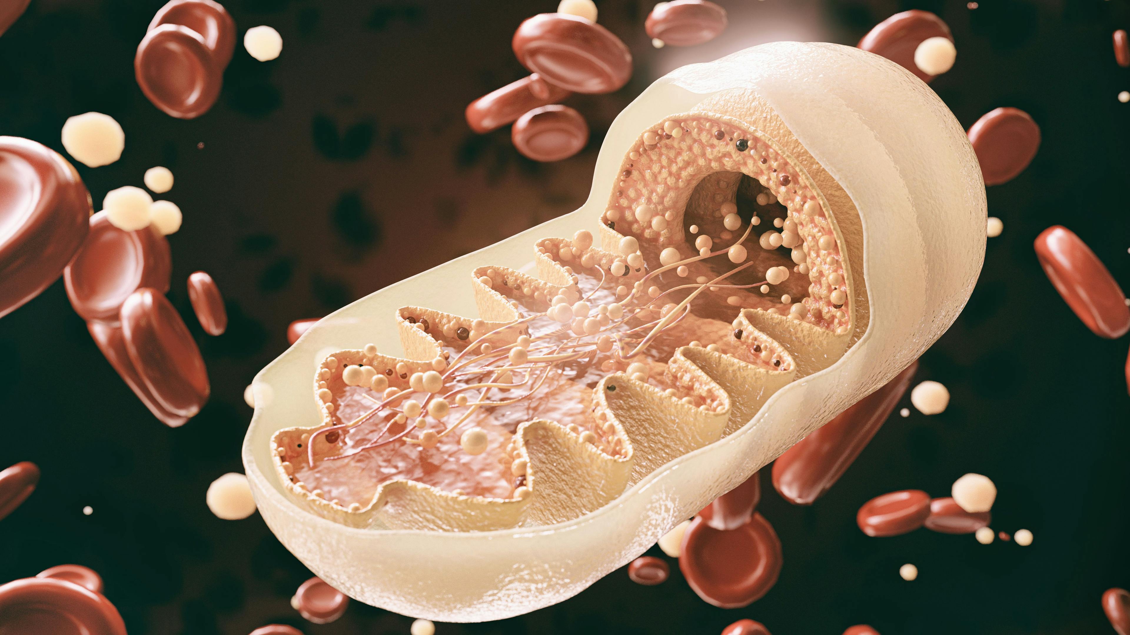 mitochondria cell in close-up - 3D Rendering | Image Credit: © crevis - stock.adobe.com